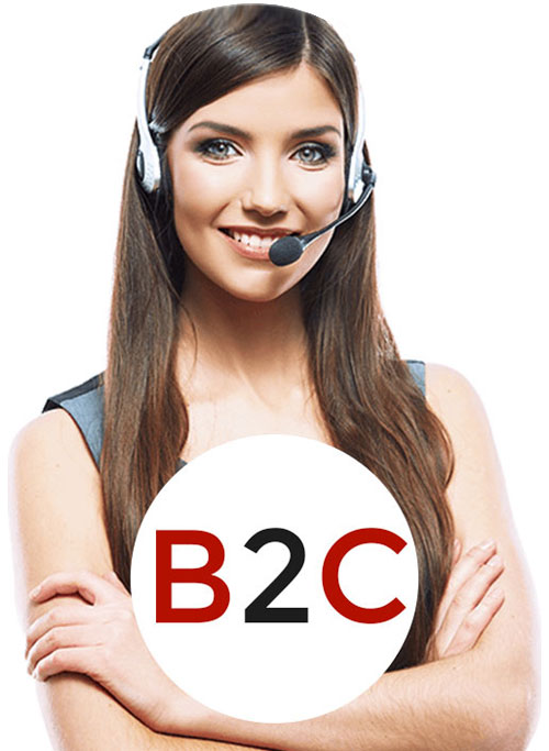 B2C tele calling services